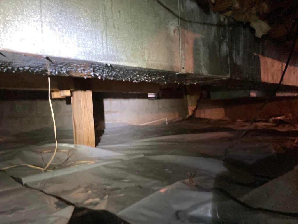 humid crawlspace